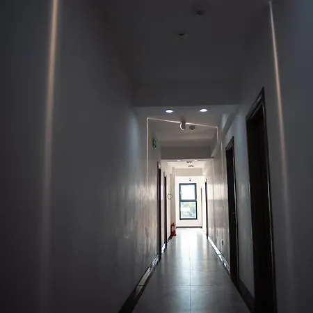 Miami קוסטינסטי